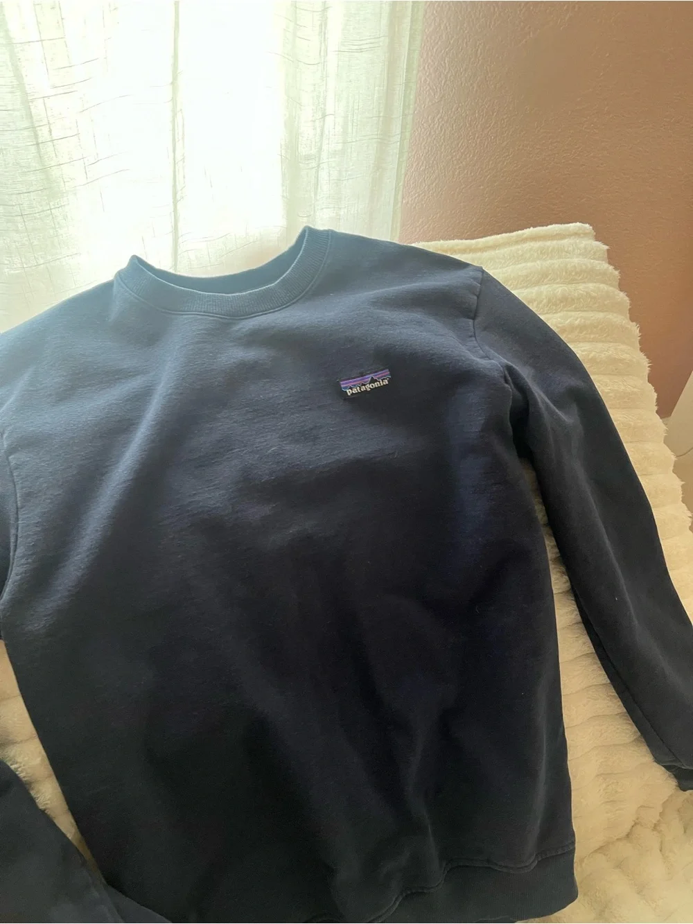 Patagonia simple crewneck